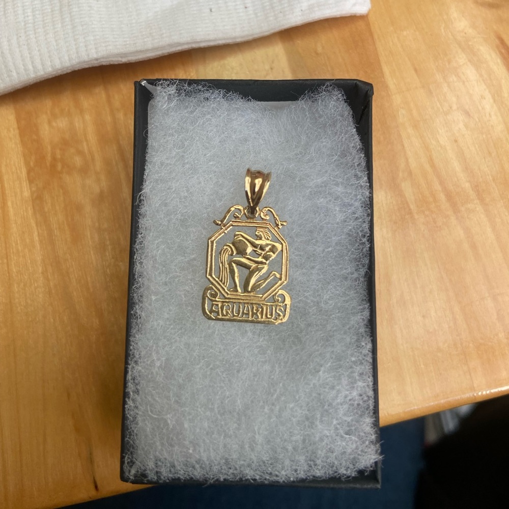 10 Karat Gold | Aquarius pendant